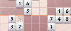 Sudoku blockiertes Feld